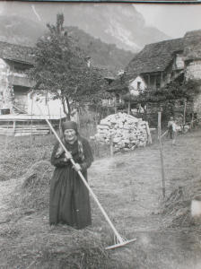 Donna con rastrello alla raccolta del fieno (1920 - 1930)